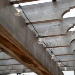 G50 Transparent Clear, 7 Watt Replacement Bulbs -Xmas Lights Store 15079 18771 2 MG 6354