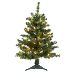 2' Douglas Fir Tabletop Christmas Tree, 35 Multicolored Lamps -Xmas Lights Store 2ft Clear Douglas Fir Tabletop Tree 5371 1