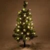 2' Walkway Pre-Lit Winchester Fir Tree, 50 Warm White LED Lamps -Xmas Lights Store 2ft Warm White LED Walkway Fir Tree Glow 6434