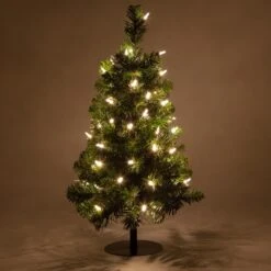 2' Walkway Pre-Lit Winchester Fir Tree, 50 Warm White LED Lamps