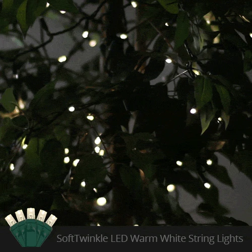 5mm Warm White SoftTwinkle LED Christmas Lights 4 5mm Warm White SoftTwinkle LED Christmas Lights - Image 2