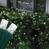 5mm Cool White LED Net Lights, Green Wire 100 Lights, 4' X 6' Net 1 5mm Cool White LED Net Lights, Green Wire 100 Lights, 4' X 6' Net -Xmas Lights Store 5MM Overlay Cool White