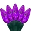 C6 Purple LED String Lights 70 Lights, 24 Feet -Xmas Lights Store C6 purple lights green wire