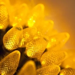 Commercial C7 Gold LED Christmas Lights 25 Lights, 25 Feet -Xmas Lights Store C7 Gold LED Commercial Bulbs 8965A