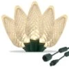 Commercial Warm White C9 LED Christmas Lights 25 Lights, 25 Feet -Xmas Lights Store C9 18592 WW GW Product