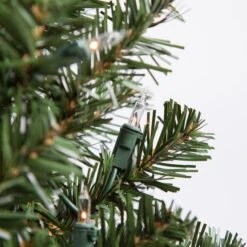 2' Douglas Fir Tabletop Christmas Tree, 35 Multicolored Lamps -Xmas Lights Store Clear Douglas Fir Tabletop Tree 5454 1