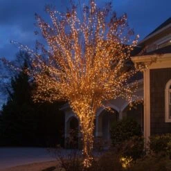 100 Clear Twinkle Christmas Tree Mini Lights, 6" Spacing, Green Wire 13 100 Clear Twinkle Christmas Tree Mini Lights, 6" Spacing, Green Wire -Xmas Lights Store Clear Mini Lights 0335