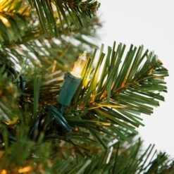 2' Walkway Pre-Lit Winchester Fir Tree, 50 Clear Lamps -Xmas Lights Store Clear Walkway Tree bulb 1805 1