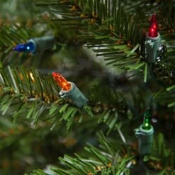 3' Douglas Fir Tabletop Christmas Tree, 50 Multicolored Lamps -Xmas Lights Store Douglas Fir Table Top Tree 3ft Multi 3469