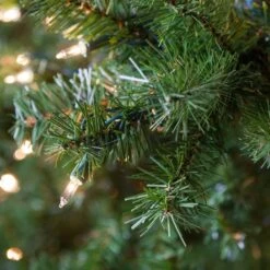 2' Douglas Fir Tabletop Christmas Tree, 35 Multicolored Lamps -Xmas Lights Store Douglas Fir Tree Tip 7148 1