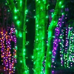5mm LED Wide Angle Green Prelamped Halloween Light Set, Black Wire 70 Lights, 24 Feet -Xmas Lights Store Green Vibrant 5mm led string lights at night 7650