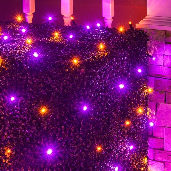 Purple, Orange 5mm LED Halloween Net Lights, Black Wire 100 Lights, 4' X 6' Net 4 Purple, Orange 5mm LED Halloween Net Lights, Black Wire 100 Lights, 4' X 6' Net - Image 2