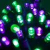 5mm LED Wide Angle Purple, Green Prelamped Halloween Light Set, Black Wire 70 Lights, 24 Feet -Xmas Lights Store LED 5MM Green Purple Lights Black Wire 1324
