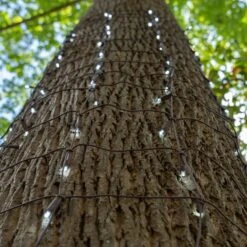 5mm Cool White LED Tree Wrap Lights, Brown Wire 100 Lights, 2' X 6' Net -Xmas Lights Store LED Cool White 5MM Brown Wire Trunk Wrap 03