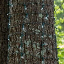 5mm Cool White LED Tree Wrap Lights, Green Wire 100 Lights, 2' X 6' Net -Xmas Lights Store LED Cool White 5MM Green Wire Trunk Wrap 03