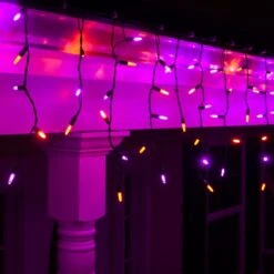 M5 Amber, Purple Halloween LED Icicle Lights, Black Wire 7 Ft. Lighted Length, 70 Lights -Xmas Lights Store M5 purple orange LED icicle lights 67287 A