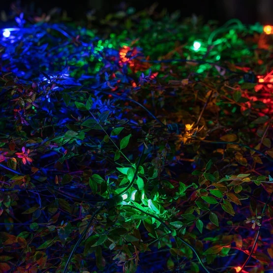 5mm Multicolor SoftTwinkle LED Net Lights, Green Wire 70 Lights, 4' X 6' Net 9 5mm Multicolor SoftTwinkle LED Net Lights, Green Wire 70 Lights, 4' X 6' Net - Image 7
