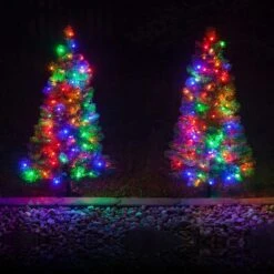 3' Walkway Pre-Lit Winchester Fir Tree, 100 Multicolored LED Lamps 14 3' Walkway Pre-Lit Winchester Fir Tree, 100 Multicolored LED Lamps -Xmas Lights Store Multicolor LED Walkway Trees 9014