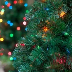2' Walkway Pre-Lit Winchester Fir Tree, 50 Multicolored Lamps -Xmas Lights Store Multicolor Walkway Fir Tips 0016
