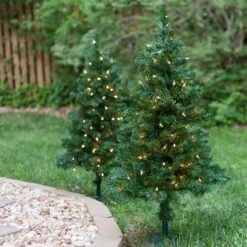 2' Walkway Pre-Lit Winchester Fir Tree, 50 Clear Lamps -Xmas Lights Store Outdoor Walkway Trees 9903
