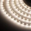 Pure White 24V High Output LED Strip Light 20 Ft -Xmas Lights Store Pure WW 24V Strip Light
