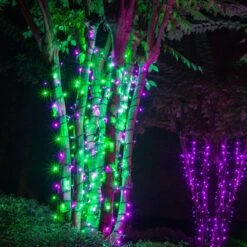 5mm LED Wide Angle Purple, Green Prelamped Halloween Light Set, Black Wire 70 Lights, 24 Feet -Xmas Lights Store Purple Green 5mm led strings wrapped trees at night 7725