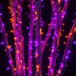 5mm LED Wide Angle Purple, Orange Prelamped Halloween Light Set, Black Wire 70 Lights, 24 Feet -Xmas Lights Store Purple Orange Halloween 5MM LED Lights 7700x