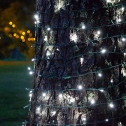 5mm Cool White SoftTwinkle LED Christmas Lights 50 Lights, 17 Feet -Xmas Lights Store Soft Twinkle LED CW String Lights 1356