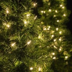 2' Walkway Pre-Lit Winchester Fir Tree, 50 Clear Lamps -Xmas Lights Store Walkway Tree Lights 9845 1
