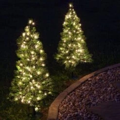 3' Walkway Pre-Lit Winchester Fir Tree, 100 Clear Lamps 15 3' Walkway Pre-Lit Winchester Fir Tree, 100 Clear Lamps -Xmas Lights Store Walkway Trees at Night 9936
