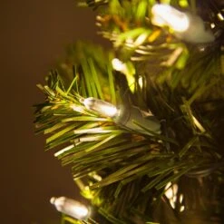 2' Walkway Pre-Lit Winchester Fir Tree, 50 Warm White LED Lamps -Xmas Lights Store Warm White LED Walkway Tree Overall Bulb 1649 1