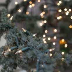 100 Clear Christmas Tree Mini Lights, 4" Spacing, Green Wire -Xmas Lights Store clear mini lights outdoor trees 7783