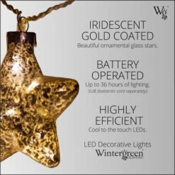 Wintergreen Lighting&reg Battery Operated LED Iridescent Gold Glass Star String Lights, 10 Warm White Lights -Xmas Lights Store feature2 led battery operated iridescent glass gold star 10 warm white light