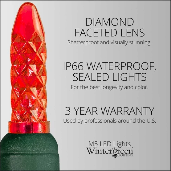 M5 Red LED Christmas Lights 70 Lights, 24 Feet 6 M5 Red LED Christmas Lights 70 Lights, 24 Feet - Image 4