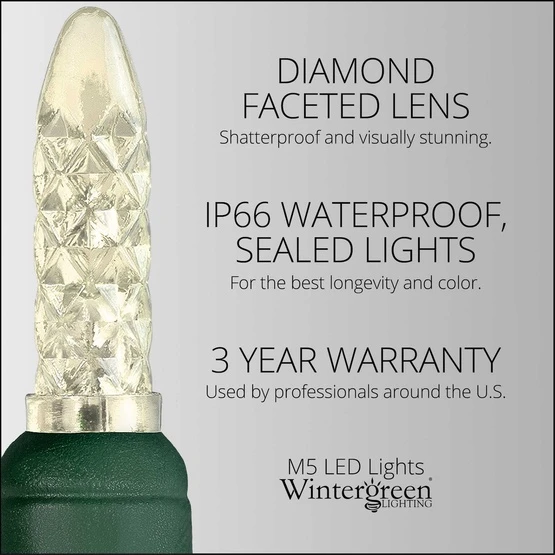 M5 Warm White LED Christmas Lights 50 Lights, 17.3 Feet 7 M5 Warm White LED Christmas Lights 50 Lights, 17.3 Feet - Image 5