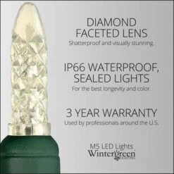 M5 Warm White LED Christmas Lights 70 Lights, 24 Feet -Xmas Lights Store feature2 led string lights m5 warm white 70ct 4spacing