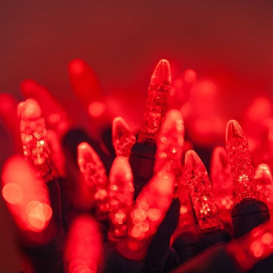M5 Red LED Christmas Lights 70 Lights, 24 Feet 4 M5 Red LED Christmas Lights 70 Lights, 24 Feet - Image 2