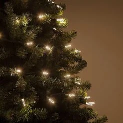 M5 Warm White LED Christmas Lights 50 Lights, 17.3 Feet 19 M5 Warm White LED Christmas Lights 50 Lights, 17.3 Feet -Xmas Lights Store inuse2 led string lights m5 warm white 70ct 4spacing