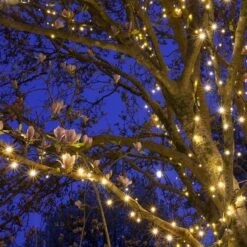 5mm Warm White LED Christmas Lights 50 Lights, 25.2 Feet -Xmas Lights Store kringle traditions warm white 5mm led mini lights in use2