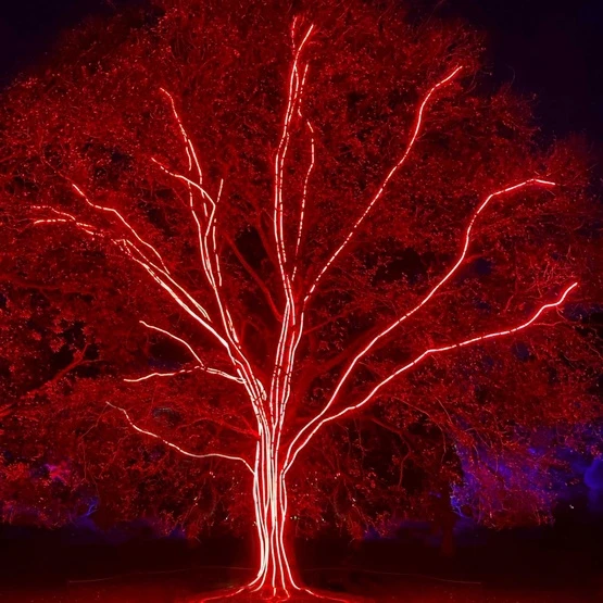 150' Red LED Rope Light, 2 Wire 1/2", 120 Volt 10 150' Red LED Rope Light, 2 Wire 1/2", 120 Volt - Image 8