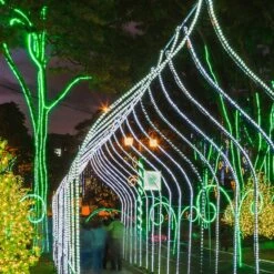 150' Cool White LED Rope Light, 2 Wire 1/2", 120 Volt -Xmas Lights Store rope light LED1 cool white arch