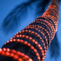 150' Red LED Rope Light, 2 Wire 1/2", 120 Volt 12 150' Red LED Rope Light, 2 Wire 1/2", 120 Volt -Xmas Lights Store rope light red in use