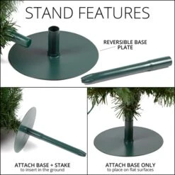 2' Walkway Pre-Lit Winchester Fir Tree, 50 Multicolored Lamps -Xmas Lights Store walkway tree stand infographic 3