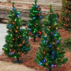 2' Walkway Pre-Lit Winchester Fir Tree, 50 Multicolored LED Lamps -Xmas Lights Store walkway trees multi color LED 9904 1213 1